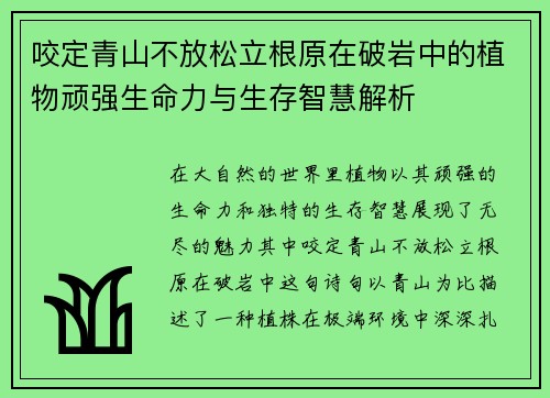 咬定青山不放松立根原在破岩中的植物顽强生命力与生存智慧解析